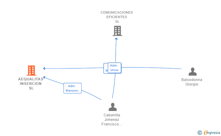 Vinculaciones societarias de AEQUALITAS INSERCION SL