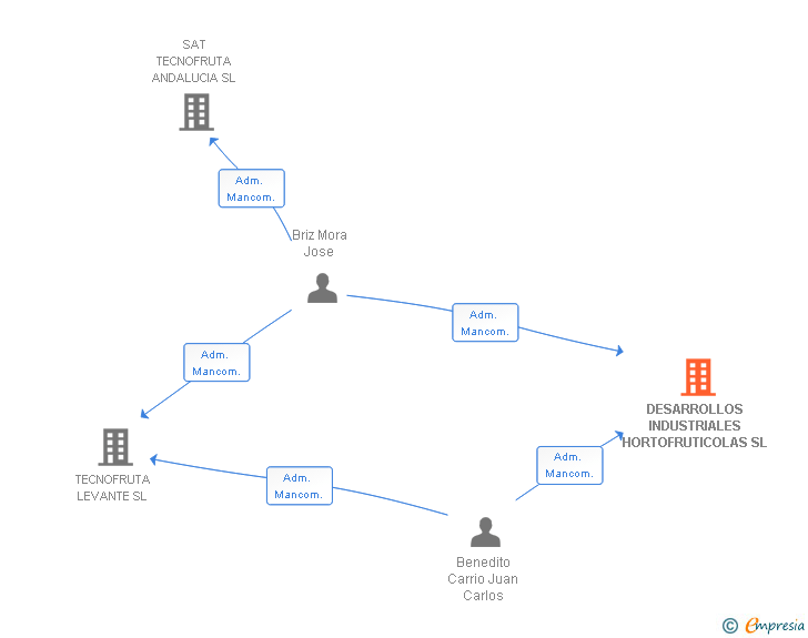 Vinculaciones societarias de DESARROLLOS INDUSTRIALES HORTOFRUTICOLAS SL