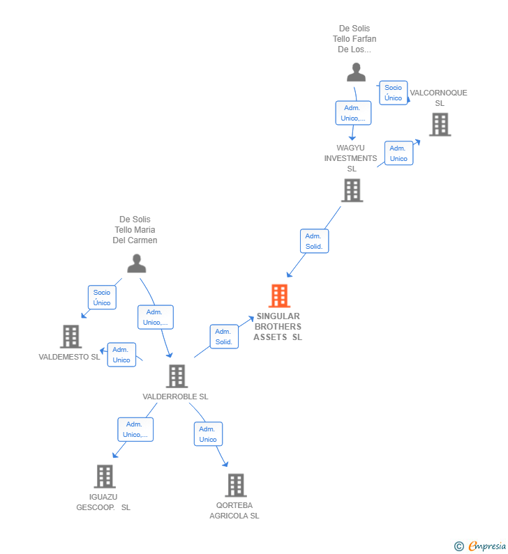 Vinculaciones societarias de SINGULAR BROTHERS ASSETS SL