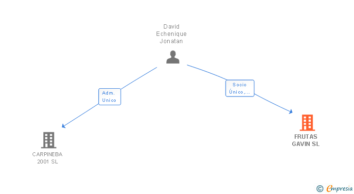 Vinculaciones societarias de FRUTAS GAVIN SL