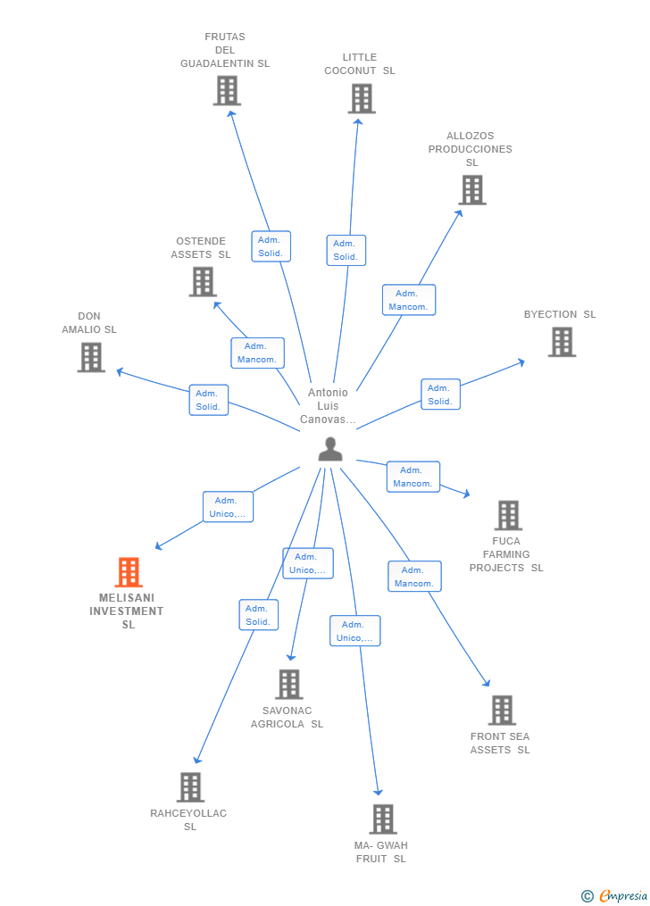Vinculaciones societarias de MELISANI INVESTMENT SL