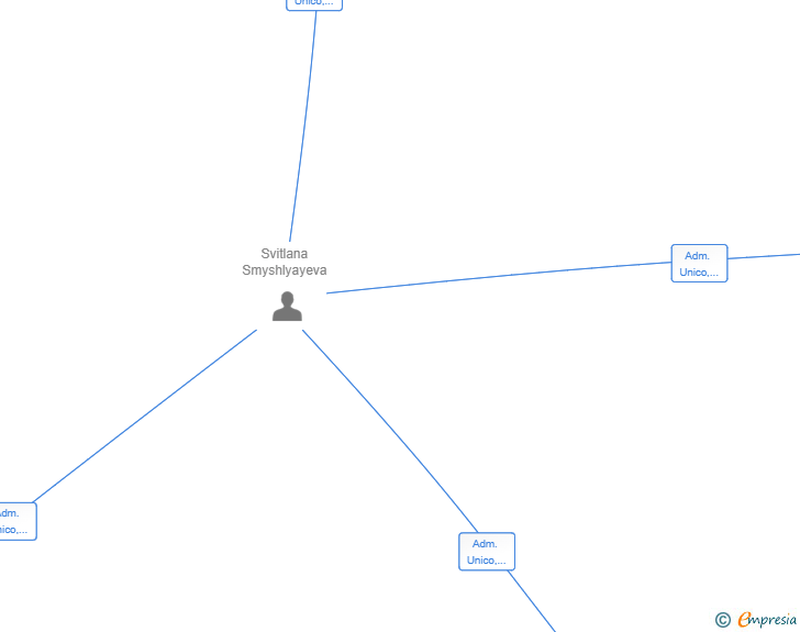 Vinculaciones societarias de WEB SERVICES VIP SL