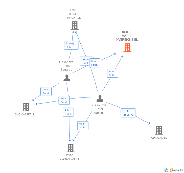 Vinculaciones societarias de ACUTE MATTE INVERSIONS SL
