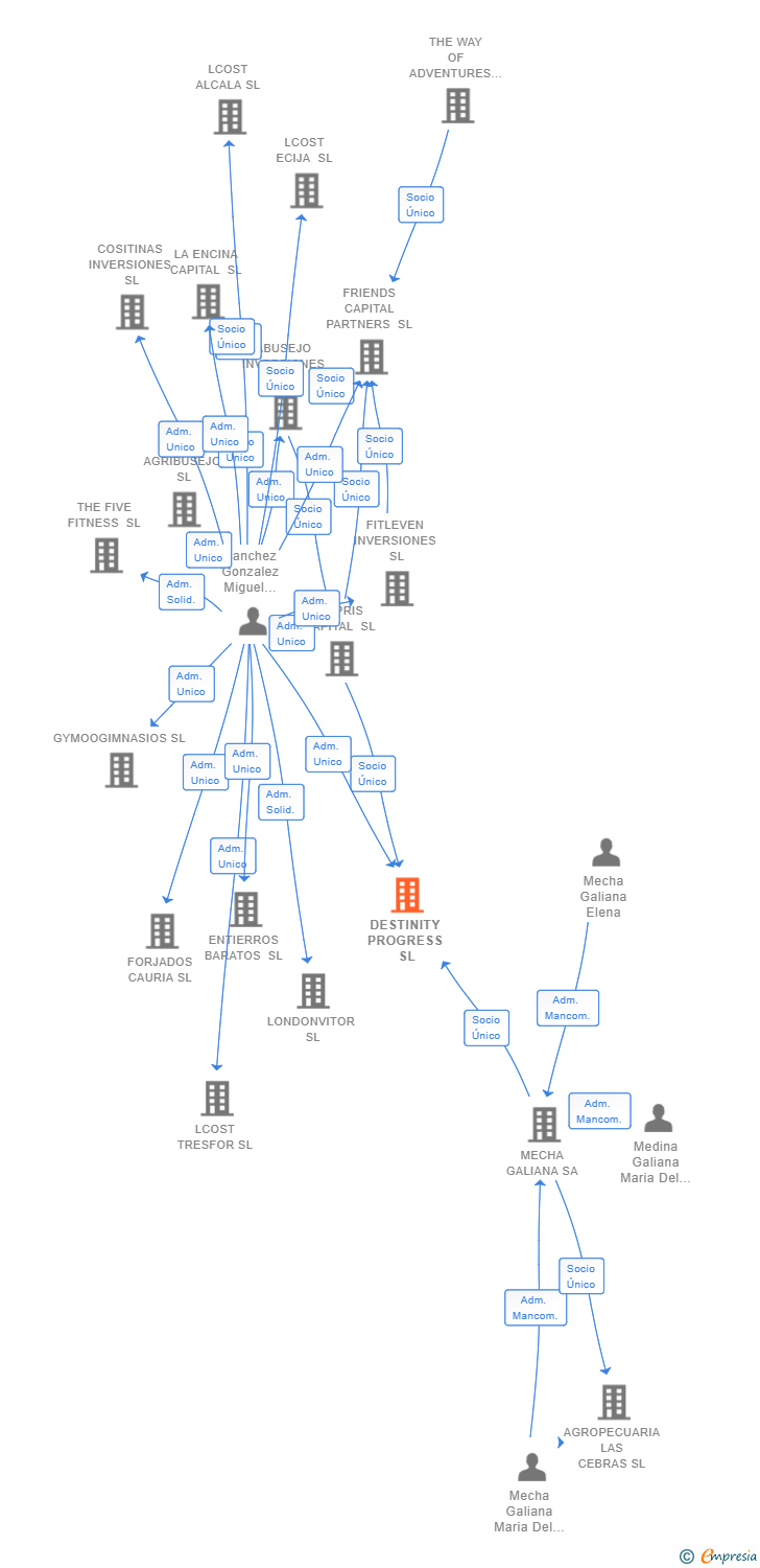 Vinculaciones societarias de DESTINITY PROGRESS SL
