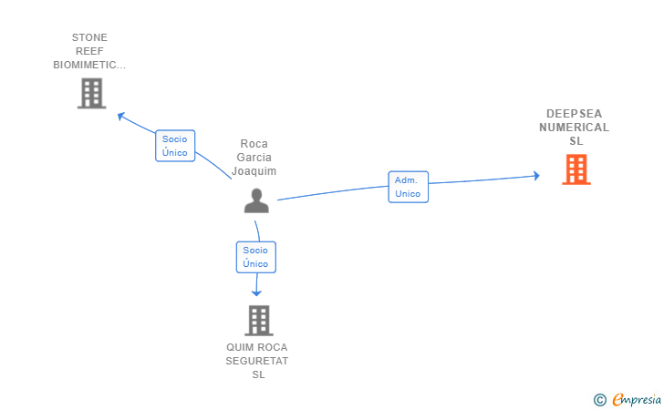 Vinculaciones societarias de DEEPSEA NUMERICAL SL