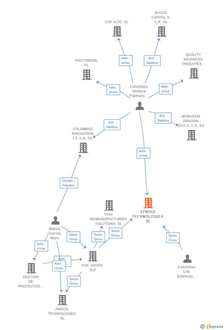 Vinculaciones societarias de SYNGOI TECHNOLOGIES SL