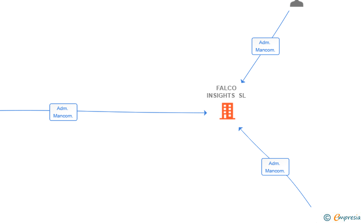 Vinculaciones societarias de FALCO INSIGHTS SL