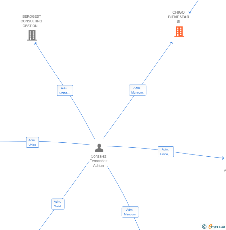 Vinculaciones societarias de CHIGO BIENESTAR SL