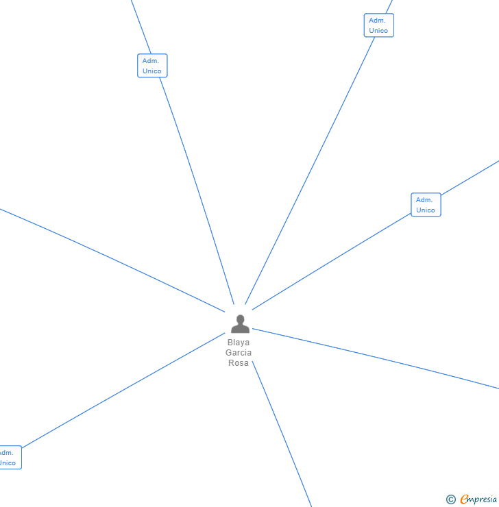 Vinculaciones societarias de NEW BLAYAS GROUP 2020 SL