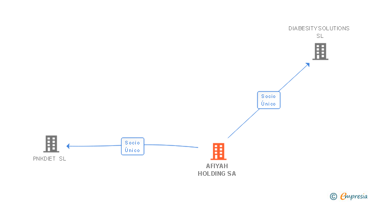 Vinculaciones societarias de AFIYAH HOLDING SA