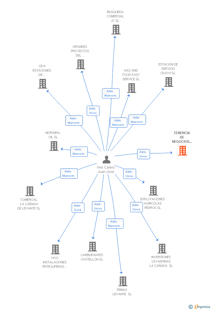 Vinculaciones societarias de TENENCIA DE NEGOCIOS E INVERSIONES SL