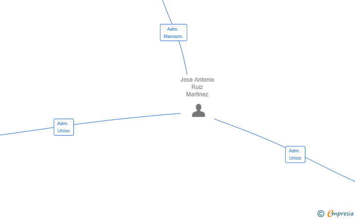 Vinculaciones societarias de LEMON TECNOLOGIA AVANZADA SL