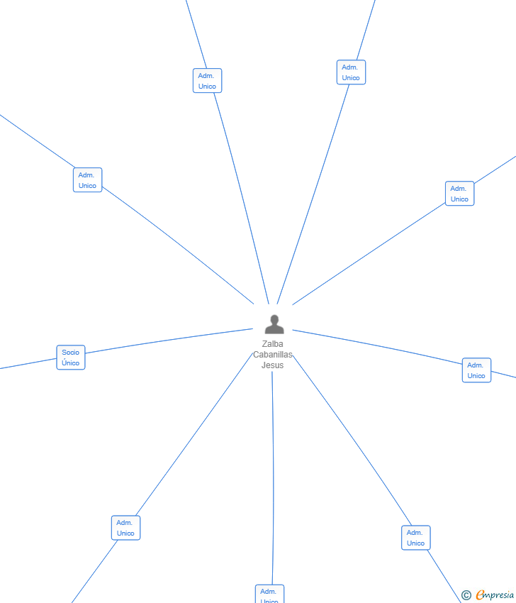 Vinculaciones societarias de ACHIEVE VALUE COMPANY SL
