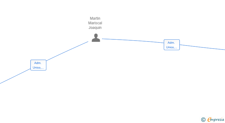 Vinculaciones societarias de CODEFLOWX ARTIFICIAL INTELLIGENCE SOFTWARE SL