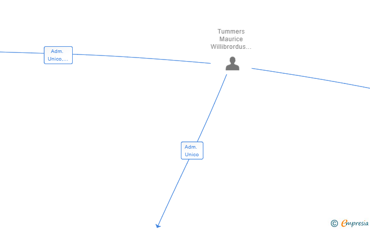 Vinculaciones societarias de TUMMERS-REAL-ESTATE SL