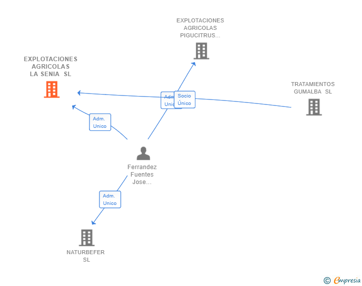 Vinculaciones societarias de EXPLOTACIONES AGRICOLAS LA SENIA SL