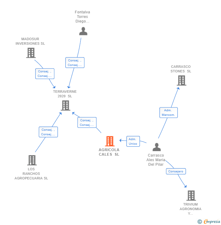 Vinculaciones societarias de AGRICOLA CALES SL