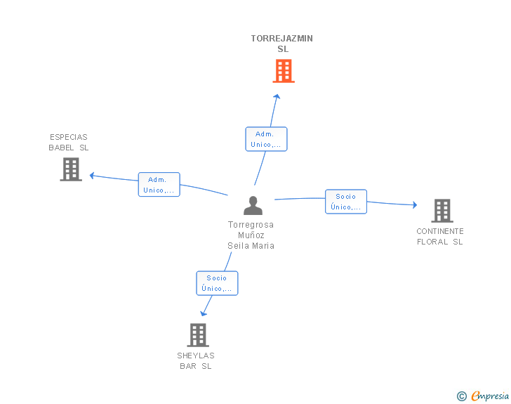 Vinculaciones societarias de TORREJAZMIN SL