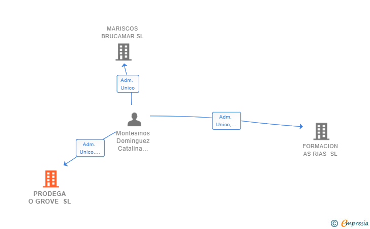 Vinculaciones societarias de PRODEGA O GROVE SL