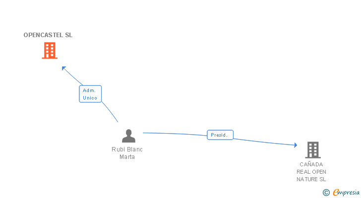 Vinculaciones societarias de OPENCASTEL SL