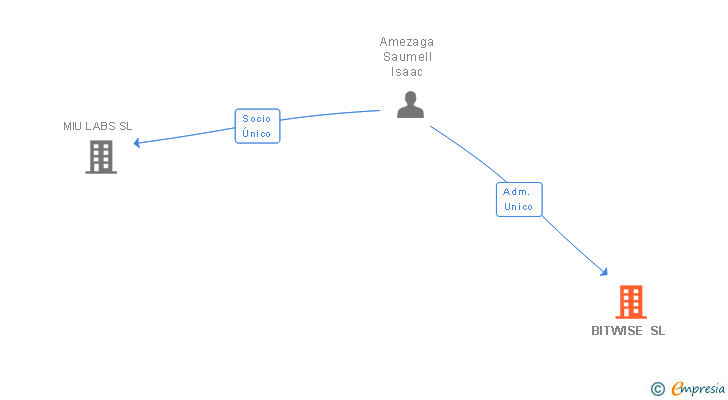 Vinculaciones societarias de BITWISE SL