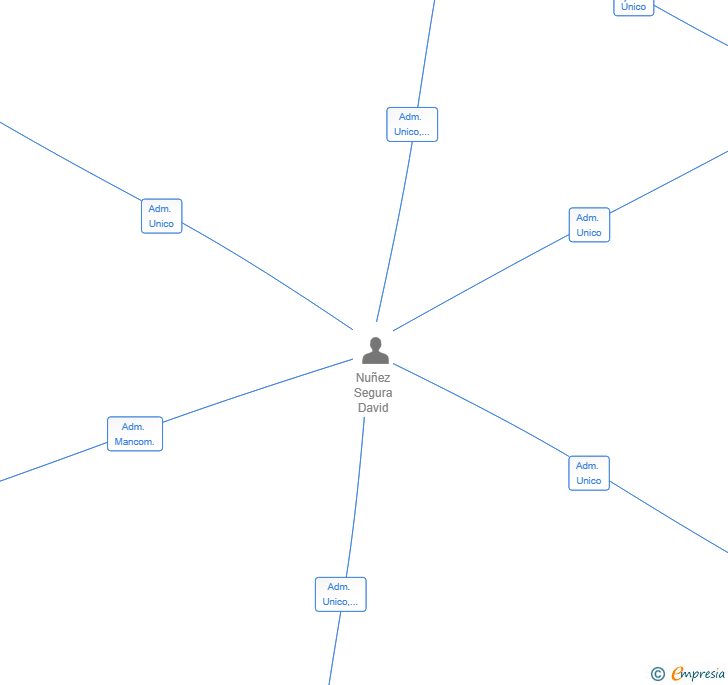 Vinculaciones societarias de TDM PROVISION Y TRANSPORTE SL
