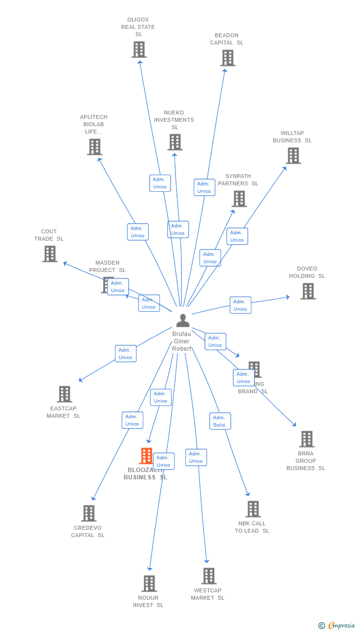 Vinculaciones societarias de BLOOZALIT BUSINESS SL