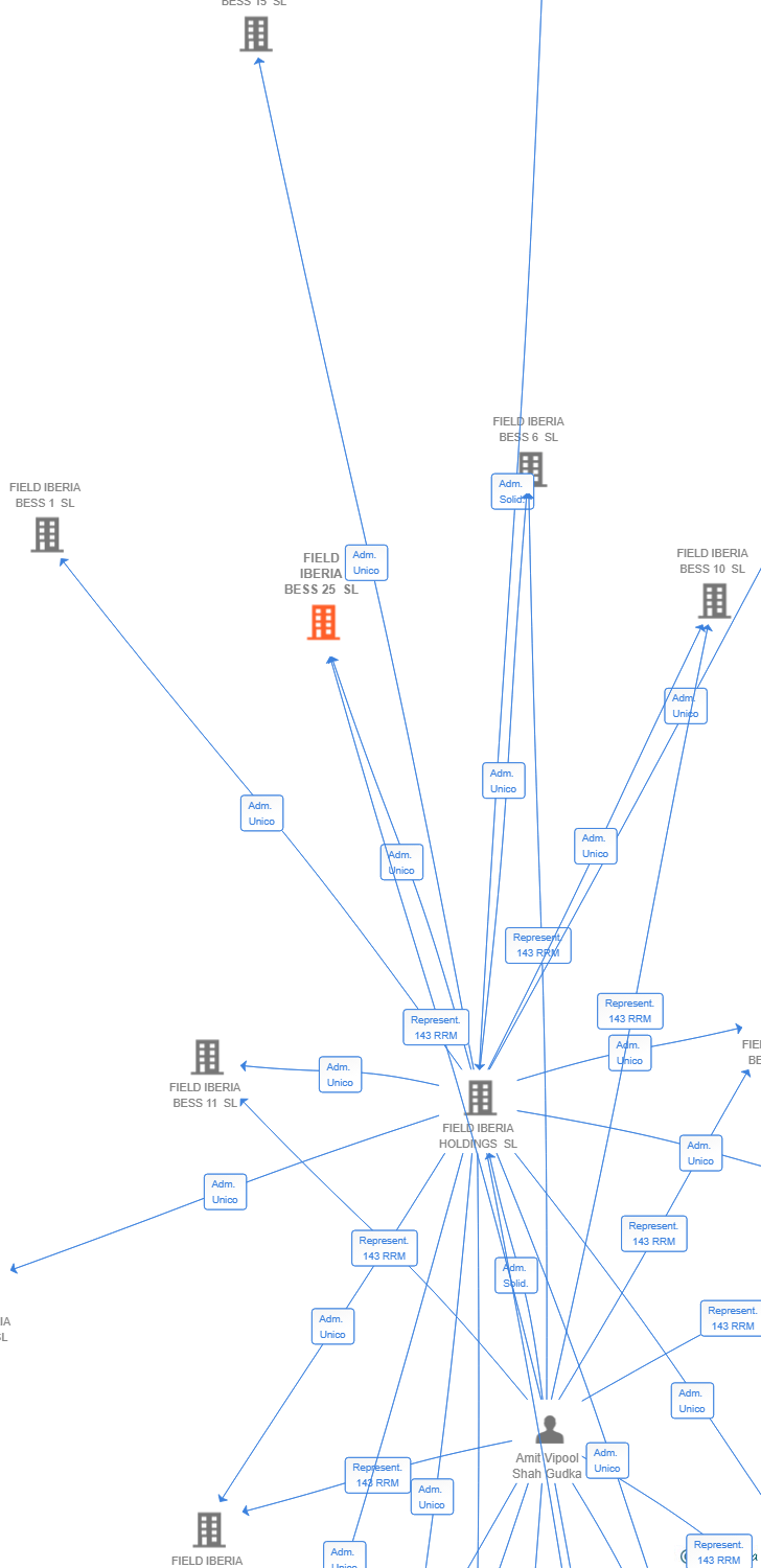 Vinculaciones societarias de FIELD IBERIA BESS 25 SL