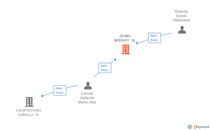 Vinculaciones societarias de DEMO INSIGHT SL (EXTINGUIDA)
