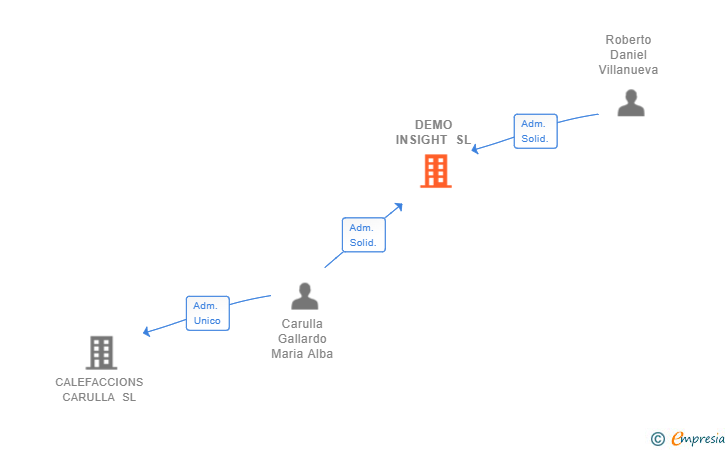 Vinculaciones societarias de DEMO INSIGHT SL