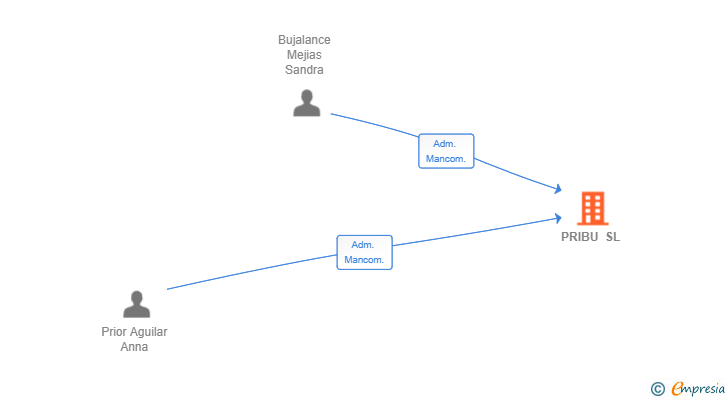 Vinculaciones societarias de PRIBU SL