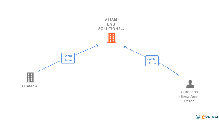 Vinculaciones societarias de ALIAM LAB SOLUTIONS SL