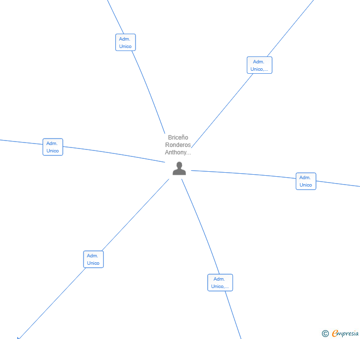 Vinculaciones societarias de NEW FIBER 2025 SL