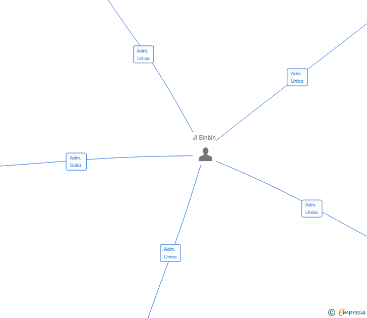 Vinculaciones societarias de CODE CONSULTING PLUS SL