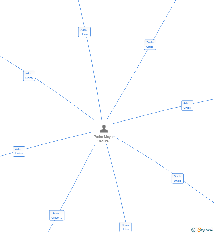 Vinculaciones societarias de RECICLAJES SANLU SL