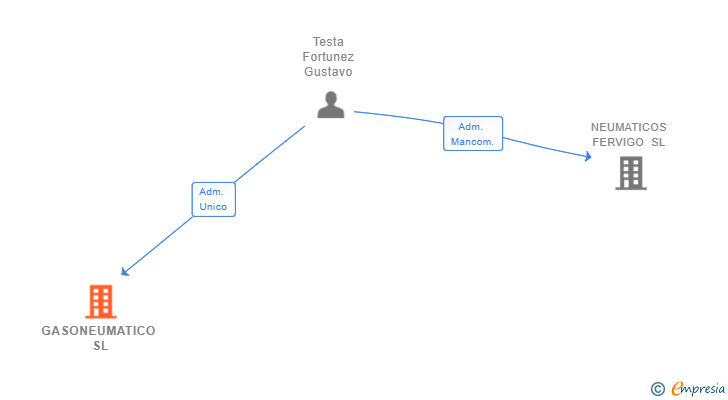 Vinculaciones societarias de GASONEUMATICO SL