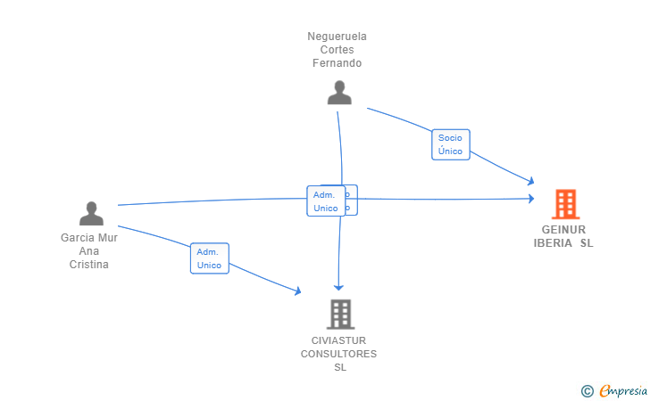 Vinculaciones societarias de GEINUR IBERIA SL