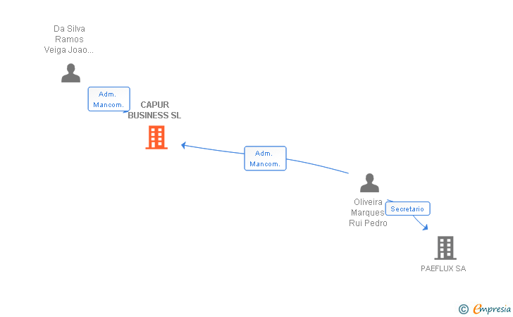 Vinculaciones societarias de CAPUR BUSINESS SL