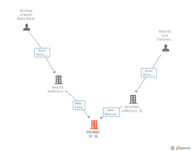 Vinculaciones societarias de PRONAC 33 SL