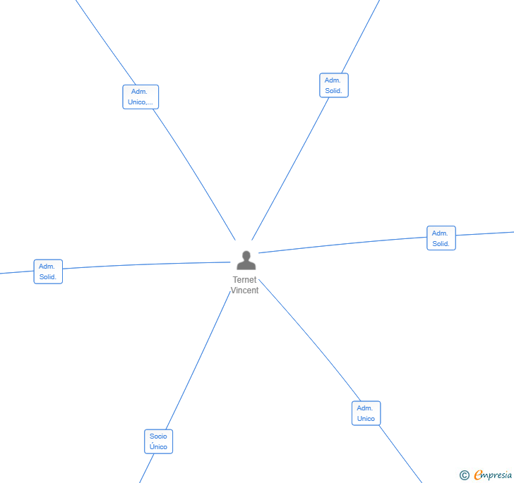 Vinculaciones societarias de GROUPE TERNET SL