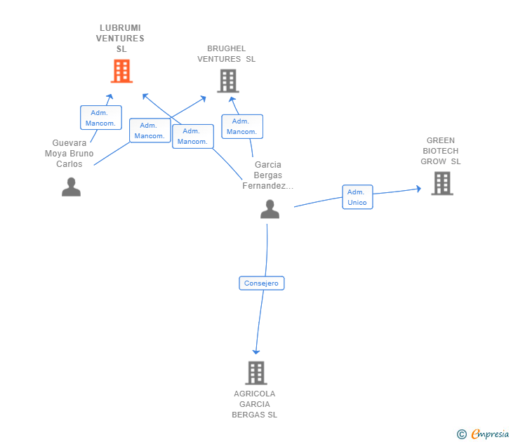 Vinculaciones societarias de LUBRUMI VENTURES SL