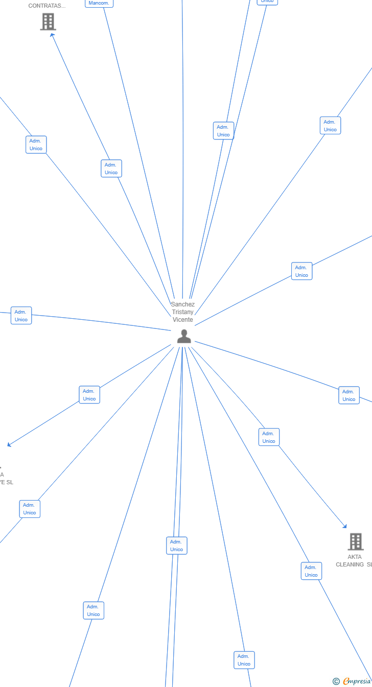 Vinculaciones societarias de APSOL TEAM SL