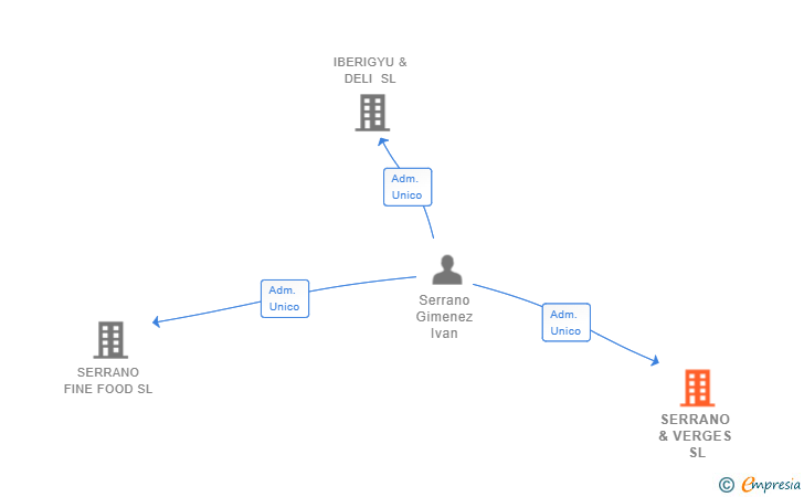 Vinculaciones societarias de SERRANO & VERGES SL