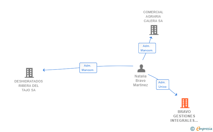 Vinculaciones societarias de BRAVO GESTIONES INTEGRALES SL