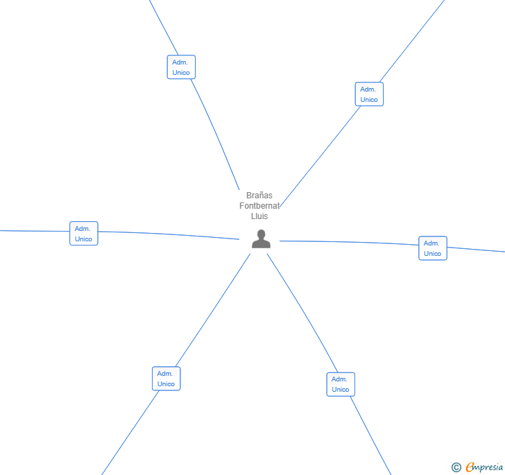 Vinculaciones societarias de VIBE NATION AIE