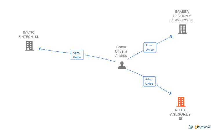 Vinculaciones societarias de RILEY ASESORES SL
