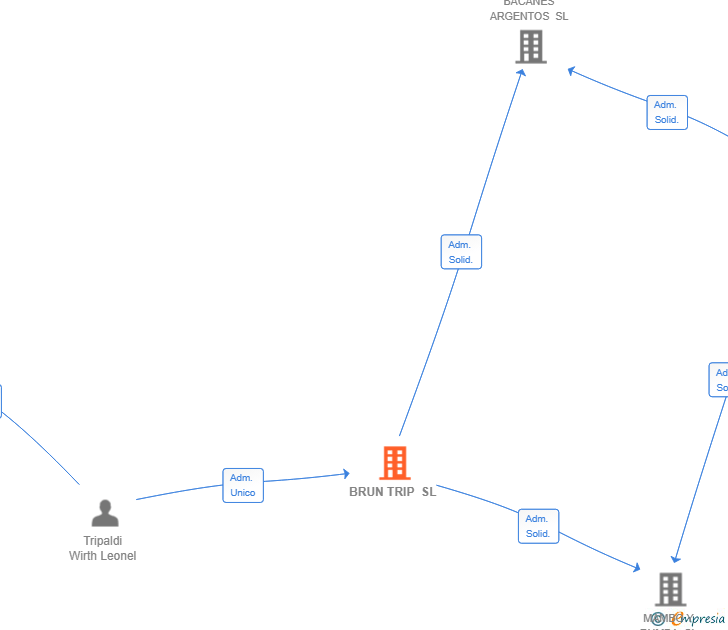 Vinculaciones societarias de BRUN TRIP SL