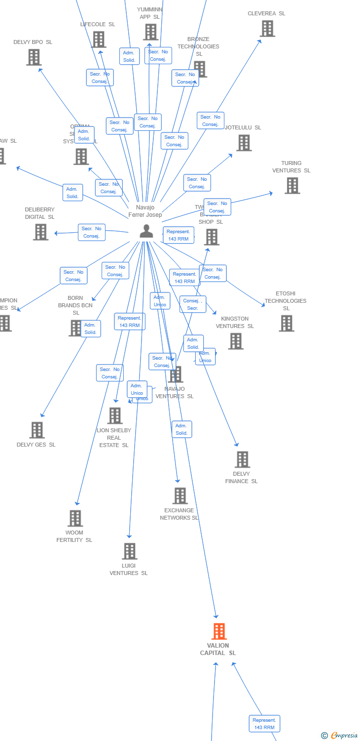 Vinculaciones societarias de VALION CAPITAL SL
