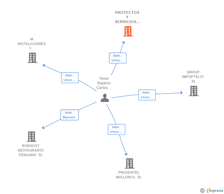 Vinculaciones societarias de PROYECTOS Y SERVICIOS IB SL