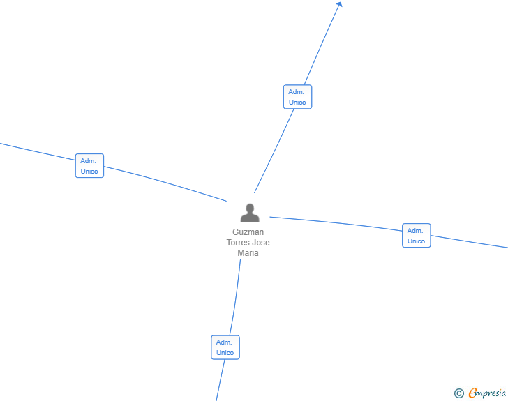 Vinculaciones societarias de INTEGRAL BUSINESSMAN CONSULTING SL